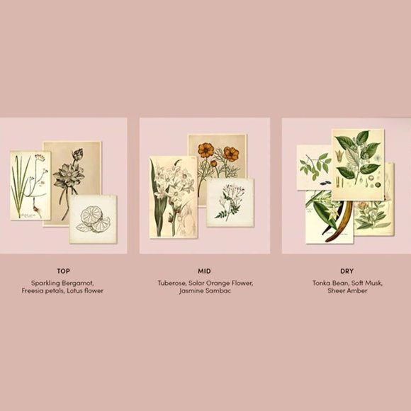 VENUS ET FLEUR NEU TUBEROSE VOTIVE CANDLE - Picture 2 of 3